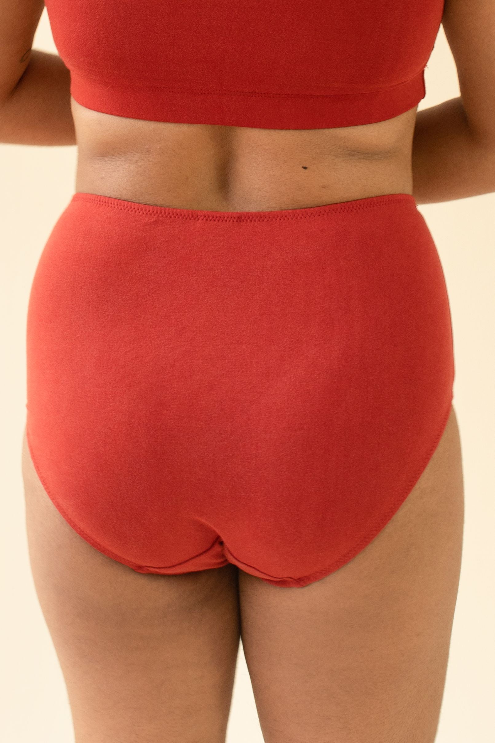 Sample Lena High Waist Undies