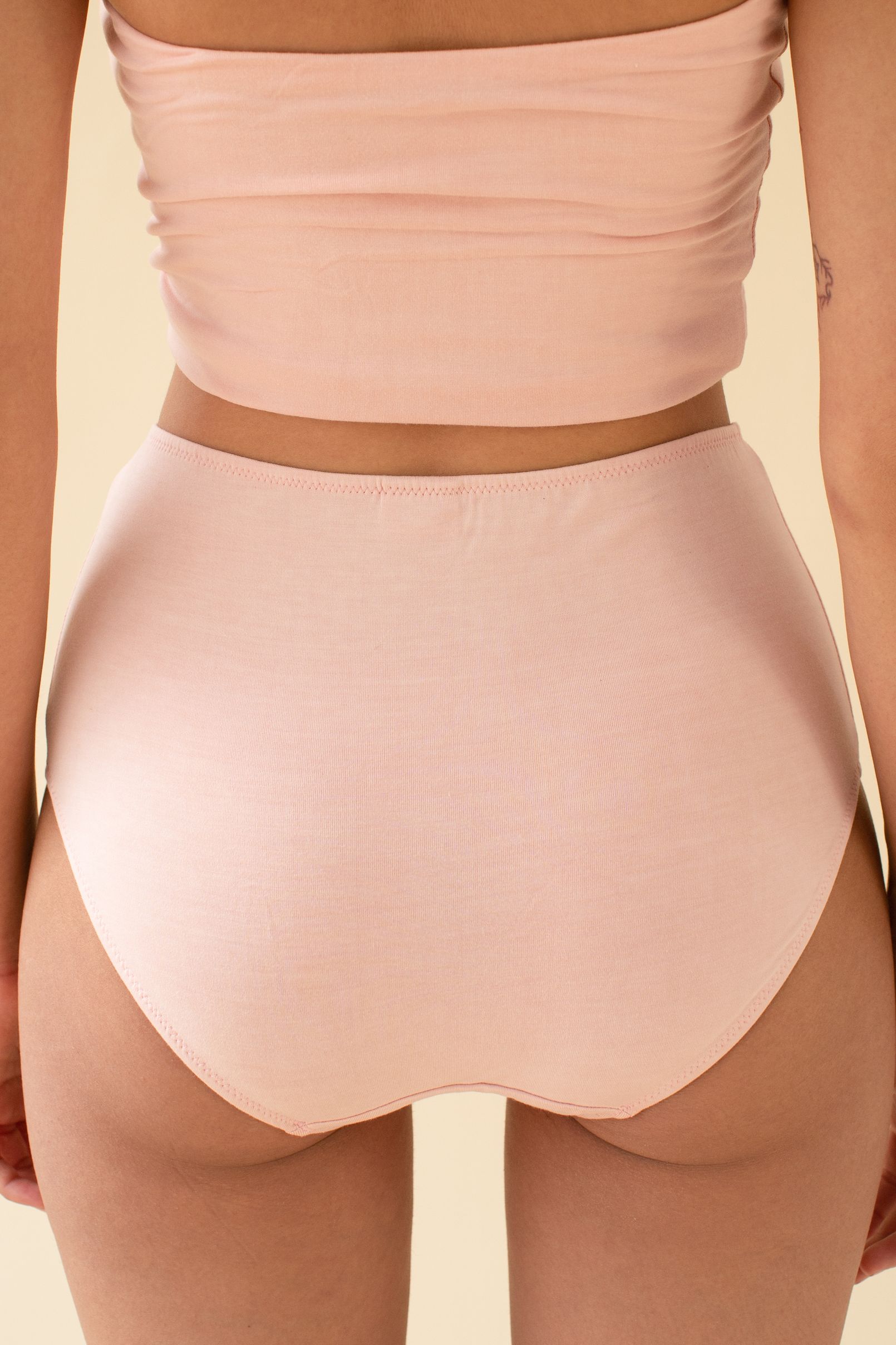 Sample Lena High Waist Undies