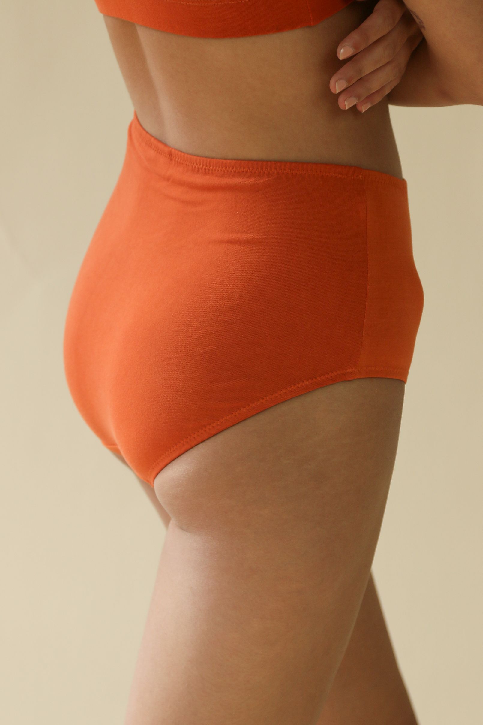 Sample Lena High Waist Undies