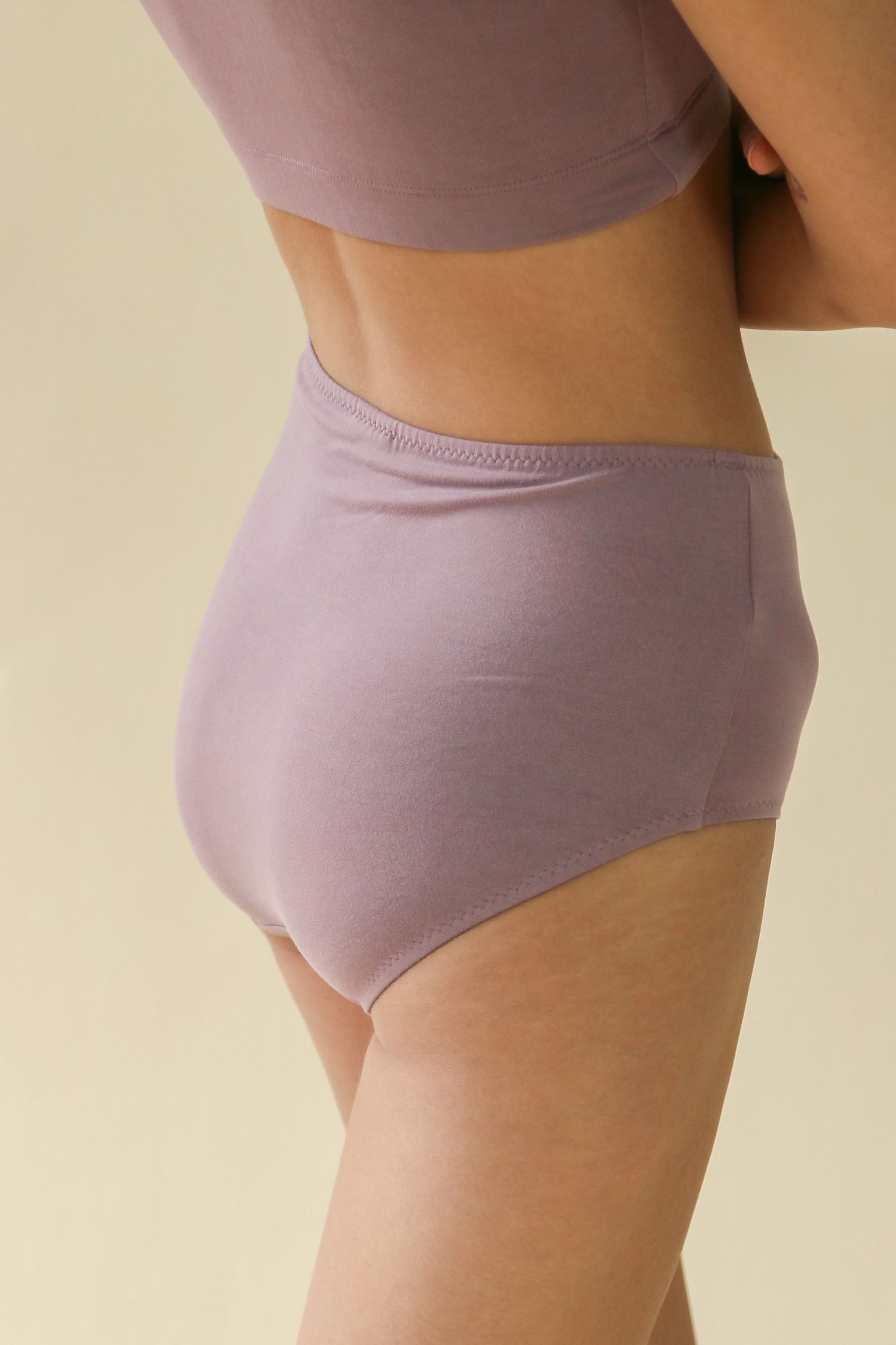 Sample Lena High Waist Undies