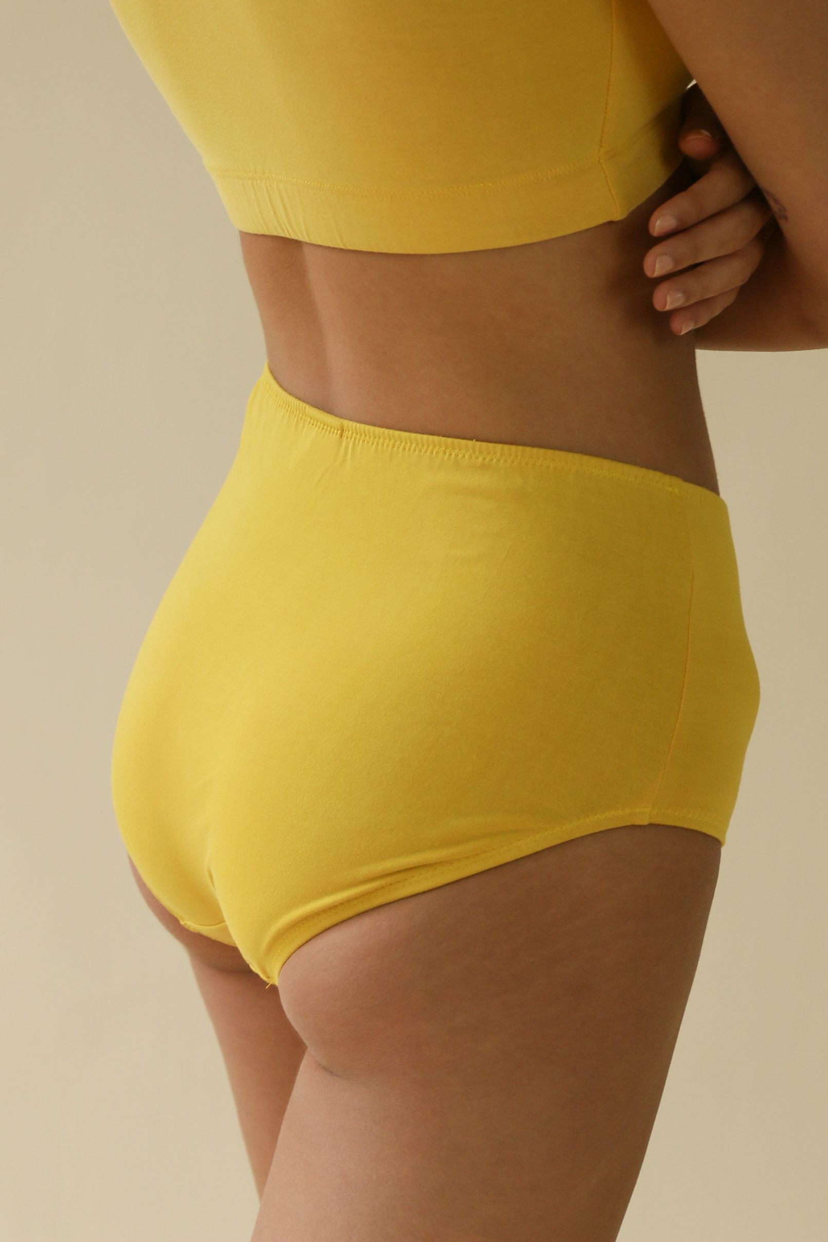 Sample Lena High Waist Undies